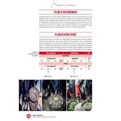 Course à obstacles - Le guide ultime de préparation à la Spartan Race