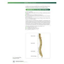 ANATOMIE DU FOOT - Analyse du mouvement et entraînement