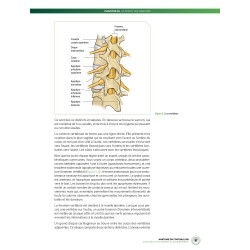 ANATOMIE DU FOOT - Analyse du mouvement et entraînement