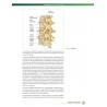 ANATOMIE DU FOOT - Analyse du mouvement et entraînement