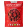 FRAISE CRUNCHY FRUIT BIO - 100% fraises biologiques lyophilisées