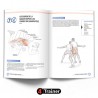 ANATOMIE ET ENTRAÎNEMENT FONCTIONNEL - 4Trainer Editions