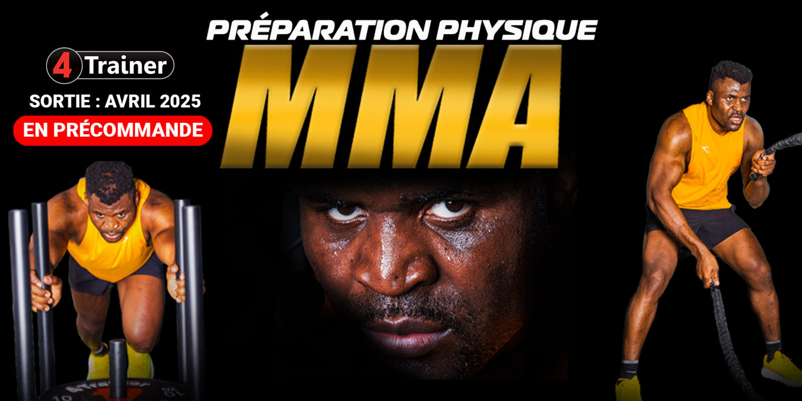 MMA - 4TRAINER Editions